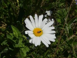 p1030090